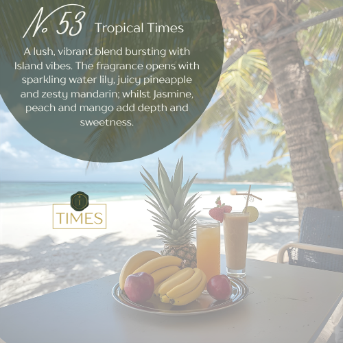 No 53 Tropical Times - Alternate View